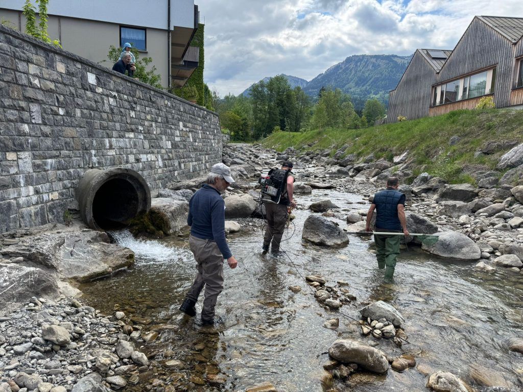 „Nicht ein einziger Fisch hat überlebt“