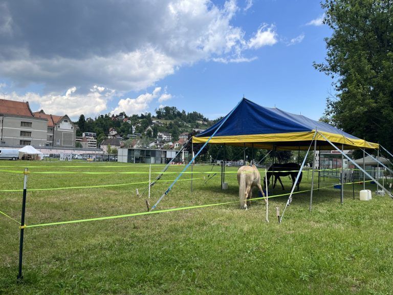 Aufbau Montfortspektakel