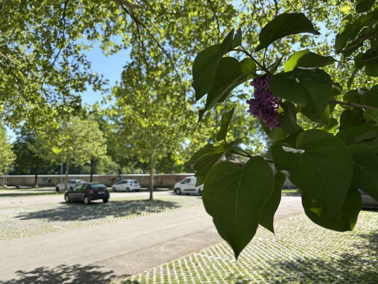 Parkplatz Friedhof Bregenz