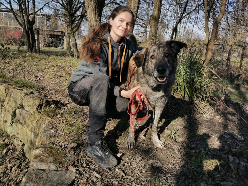 Senior-Dame Leika wünscht sich ein neues Körbchen