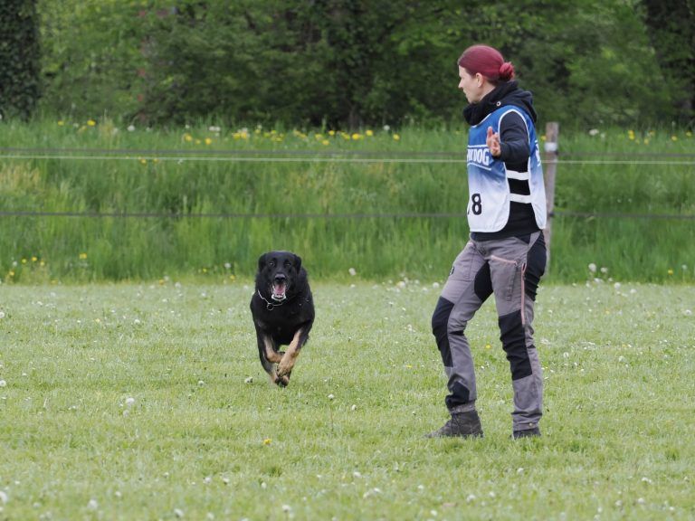 7-Länder-Wettkampf, IGP-Hundesport, Nina Winkler, Hund Ero, Mont-de-Coeuve in der Schweiz