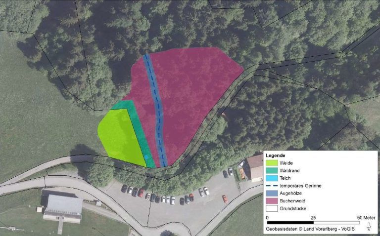 Bodenaushubdeponie Fraxern