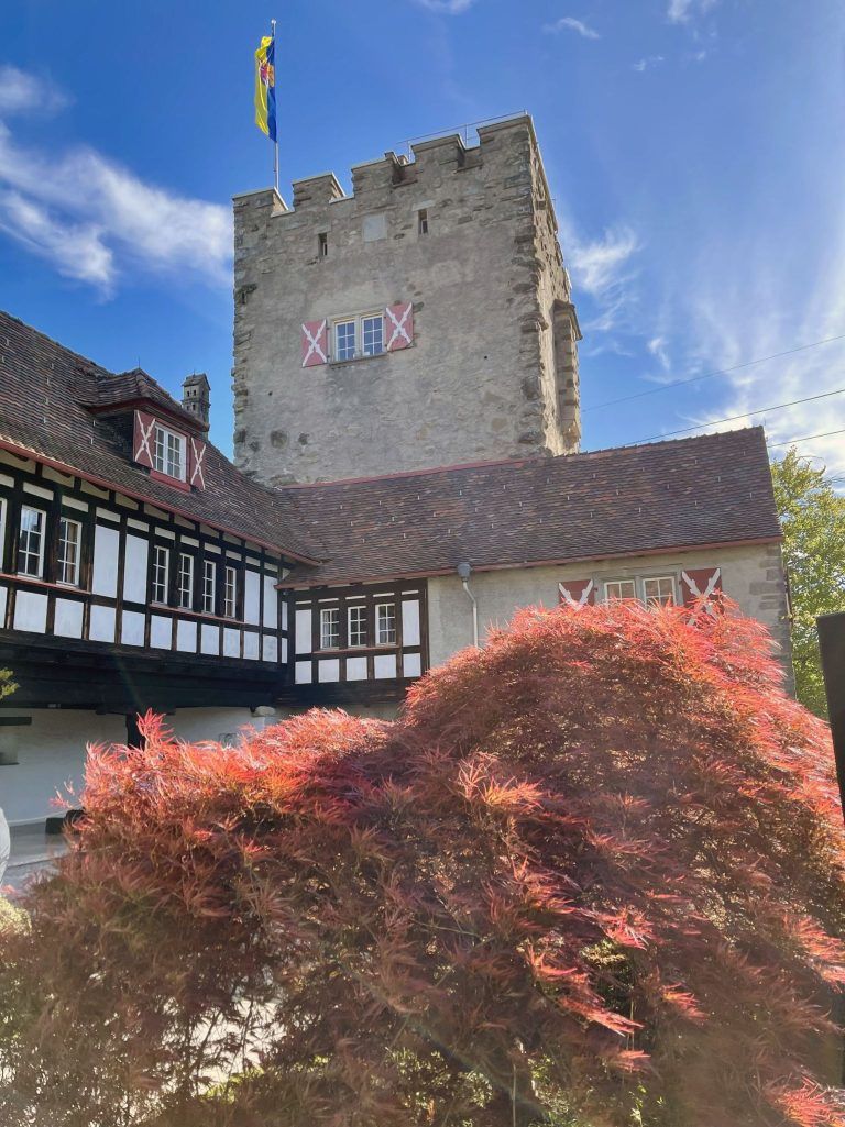 Schloss Wolfurt; Offenes Schlosstor