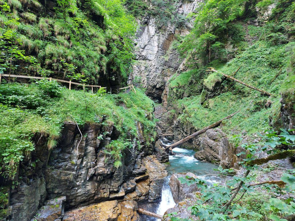Wilde Wasser im Laternsertal