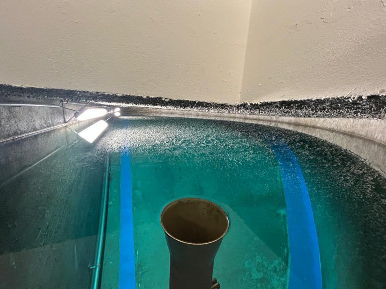 Wasserversorgung, Trinkwasser, Sanierung, Übersaxen, 05/2025