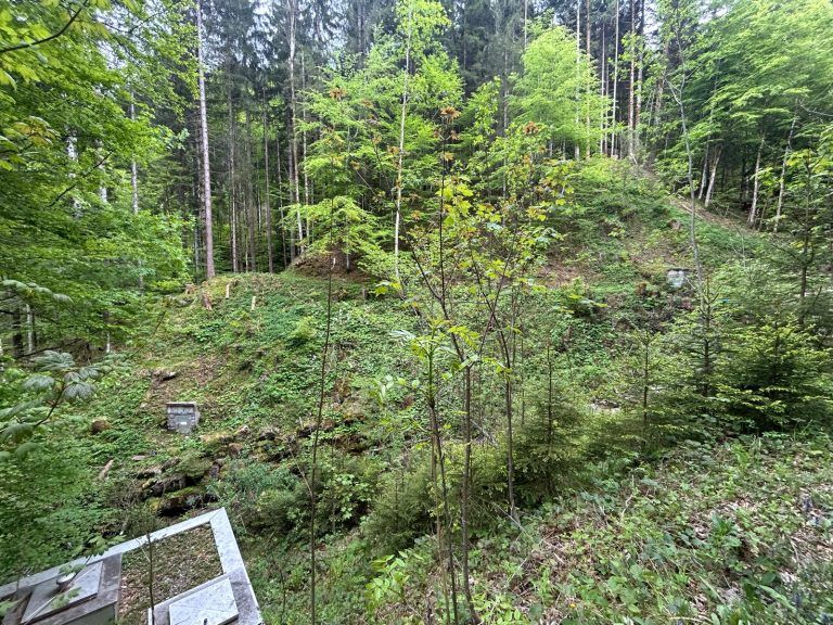 Wasserversorgung, Trinkwasser, Sanierung, Übersaxen, 05/2025