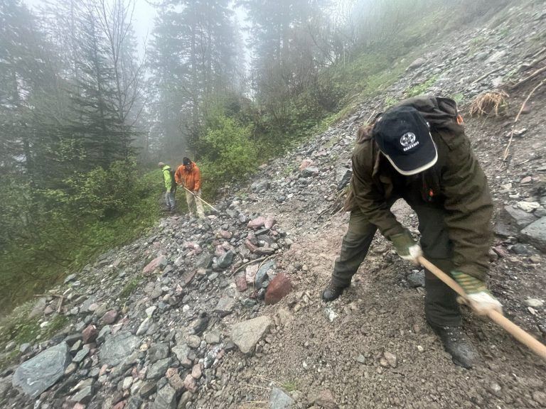 Wanderwege saniert: Mit viel Einsatz wurden der Bachweg wieder begehbar gemacht.