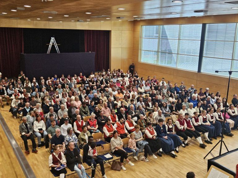 Ein Feuerwerk der Blasmusik mit 20 Musikkapellen: Hunderte Besucher zog es an den beiden Bewerbstagen nach Lingenau.