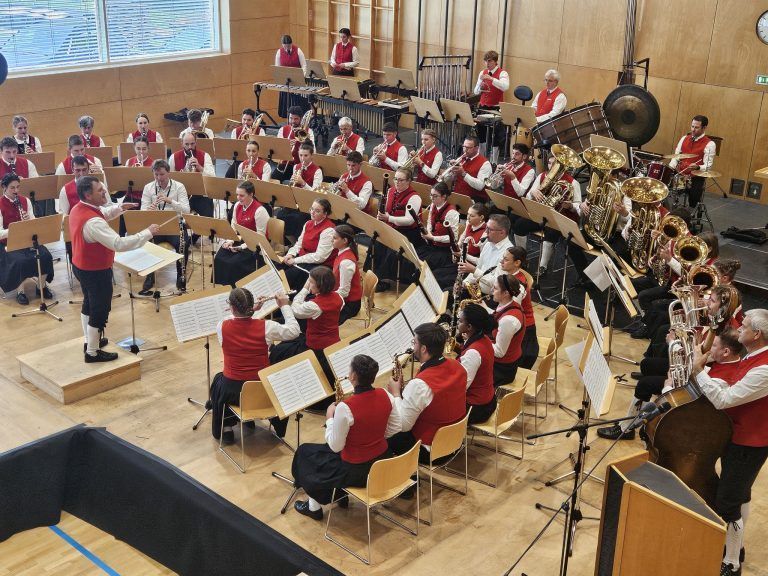 Ein Feuerwerk der Blasmusik mit 20 Musikkapellen: In verschiedenen Leistungsstufen zeigten Blasmusikvereine ihr musikalisches Niveau.