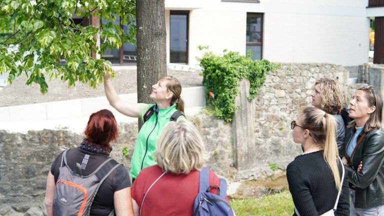 Während der Kräuterwanderung wurden bekannte und unbekannte Pflanzen ganz aus den Nähe angeschaut. Es wurde getastet, gerochen und geschmeckt.