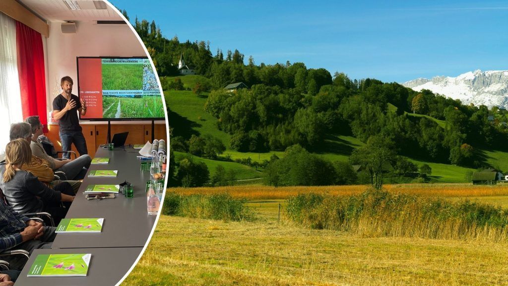 Managementplan für Naturjuwel in Frastanz steht
