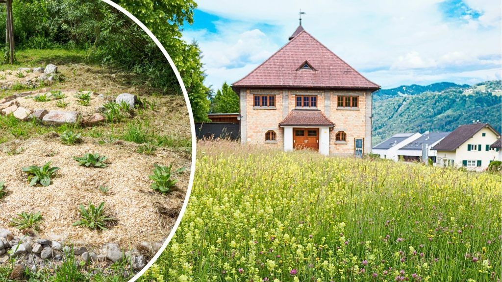 Das ist die erste Nationalpark-Garten-Gemeinde in Vorarlberg