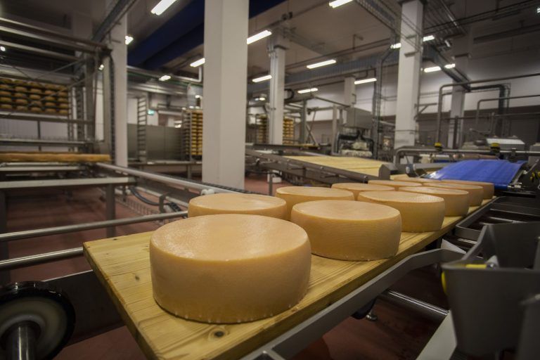 "Vorarlberg Milch braucht Standort- und Jobgarantie"