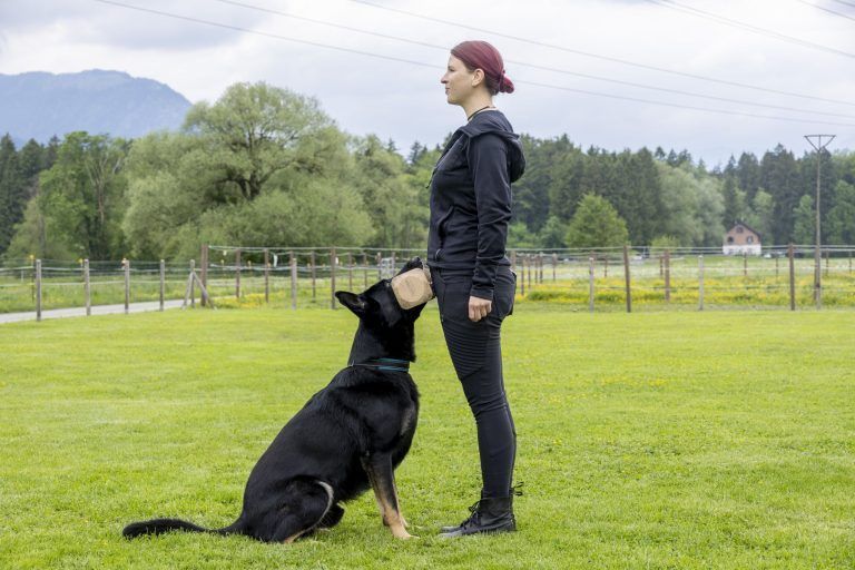 „Hätte nie gedacht, dass wir ganz oben stehen“ - Nina und Ero holen Gold für Österreich