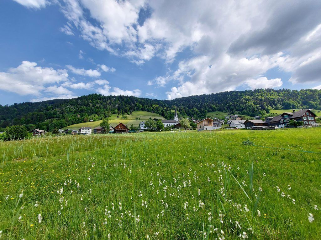 Wilde Wasser im Laternsertal