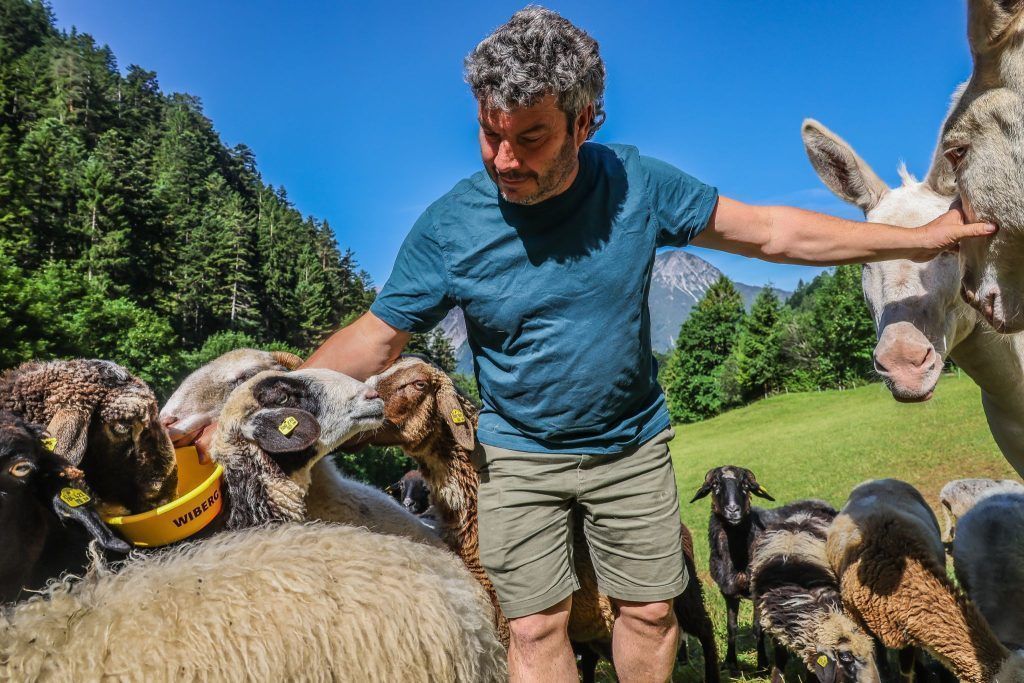 Wolfsriss im Montafon: &#8220;Man sieht nichts, spürt nichts. Auf einmal ist es passiert&#8221;