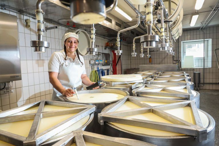 Gold für Vorarlberger Bergkäse aus Lutzenreute