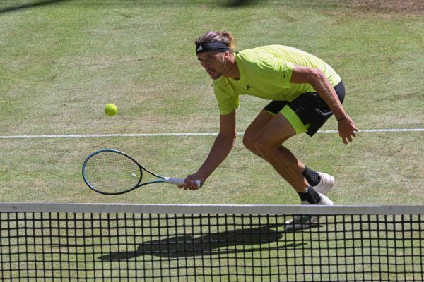 Zverev im Halle-Halbfinale gegen Medwedew