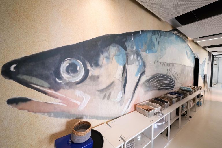 Ein Aquarium für Lochau