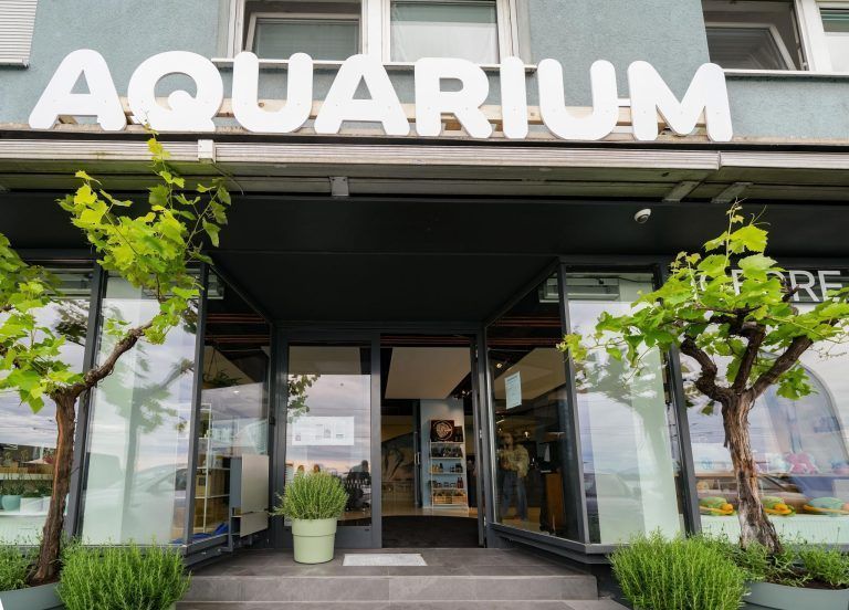 Ein Aquarium für Lochau