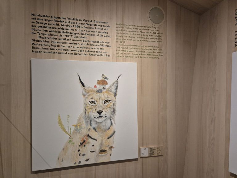 Naturraum.Verwall, Eröffnung, Ausstellungsraum