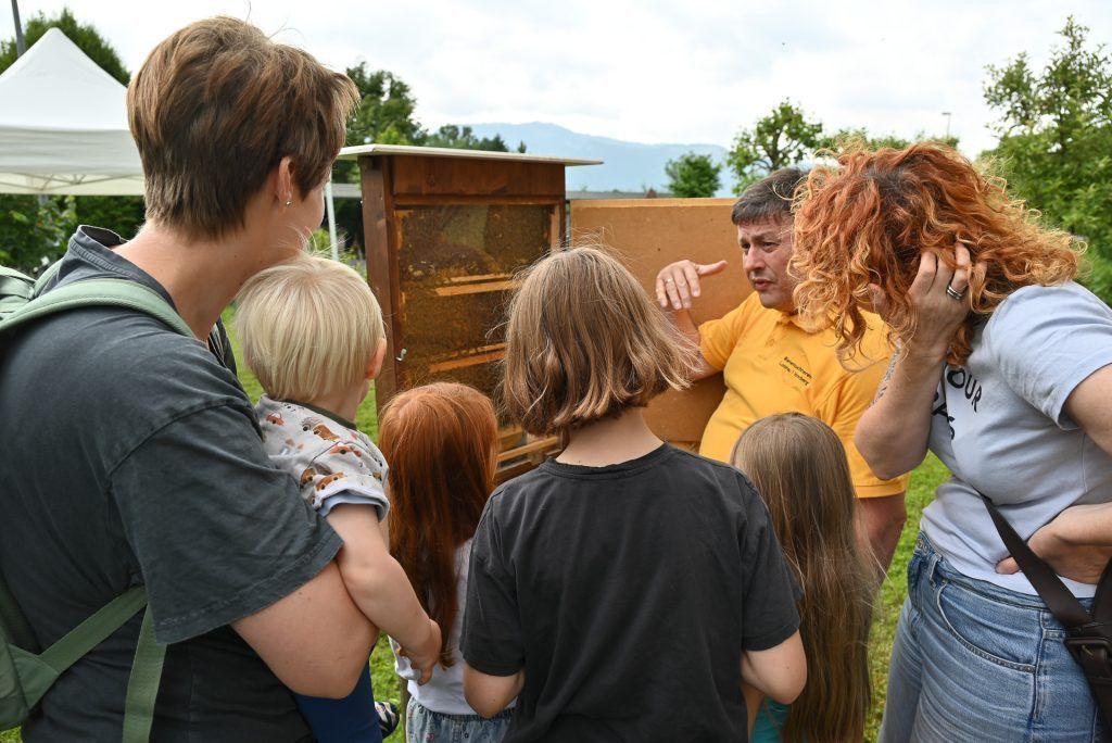 Tag des offenen Bienenstocks in Lustenau
