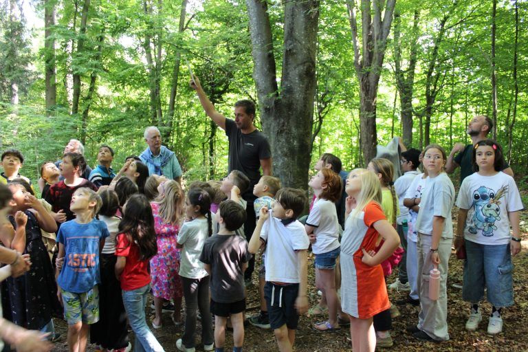 Naturschutz macht Schule: Der Specht im Fokus: Wissenswerte Infos über Wald und Specht vom Förster Andreas