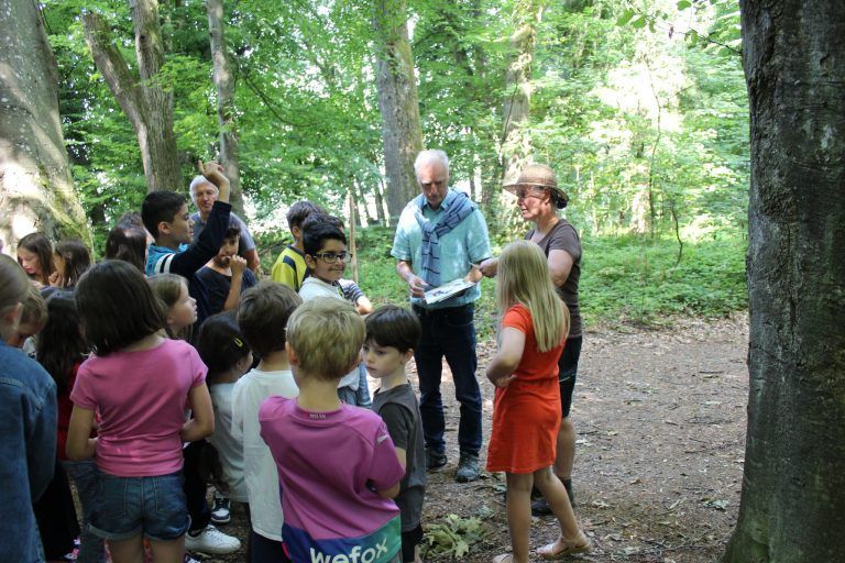 Naturschutz macht Schule: Der Specht im Fokus: Auch Elisabeth Feuerstein erklärte spannende Fakten zum Specht