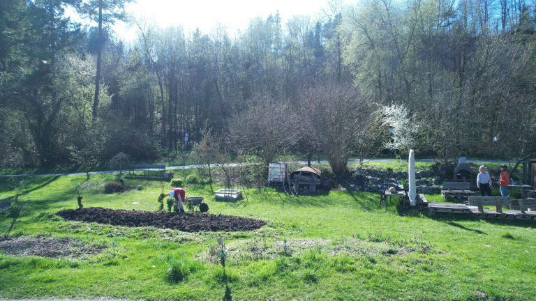 Gemeinschaftsgarten als spezielles Erlebnis.: Vor und nach aussaat und Auspflanzen muss gejätet werden.