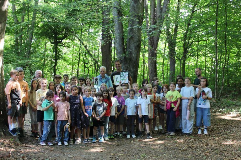 Naturschutz macht Schule: Der Specht im Fokus: Die Klassen 1c und 4b