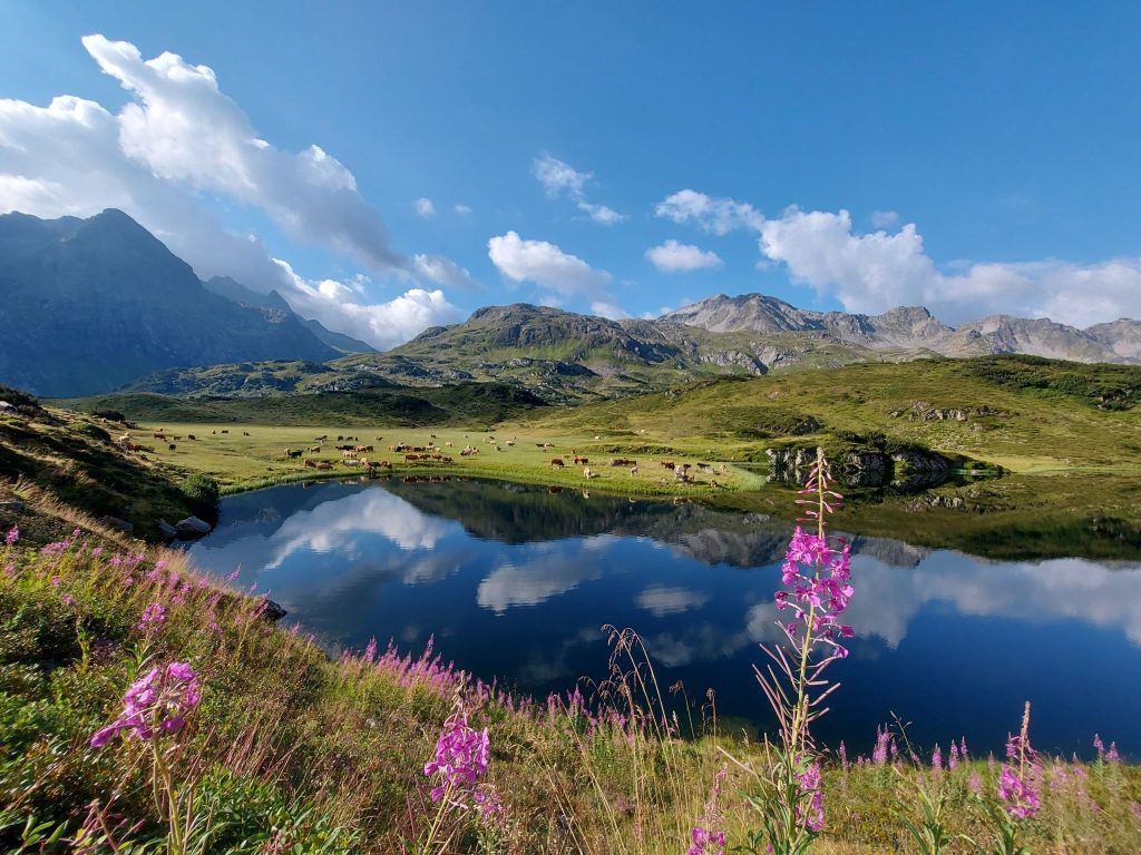 Der laaange Weg zum Langsee