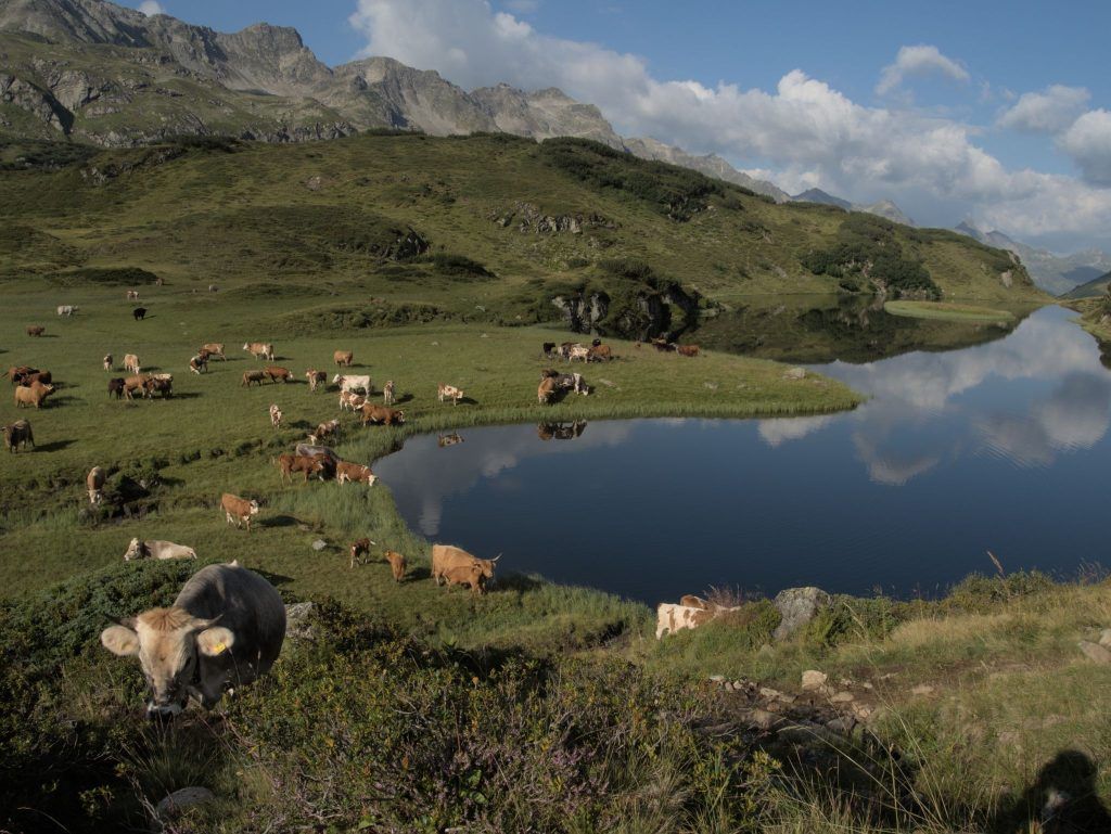 Der laaange Weg zum Langsee