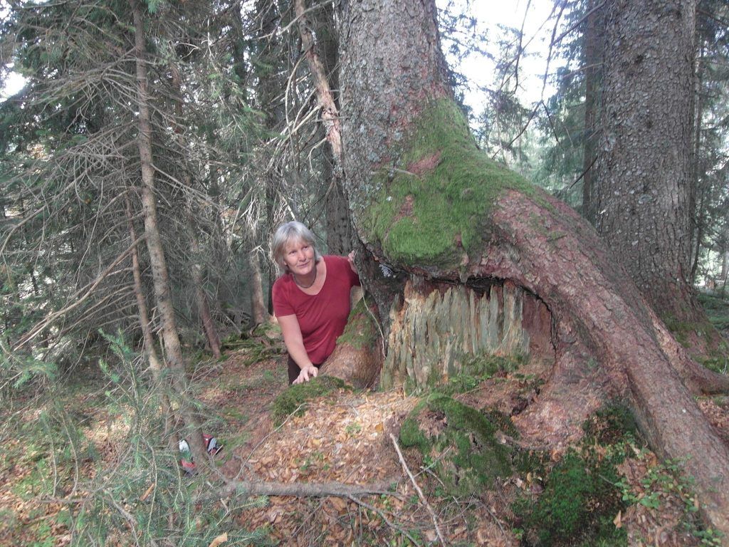 Die Natur mit allen Sinnen erleben