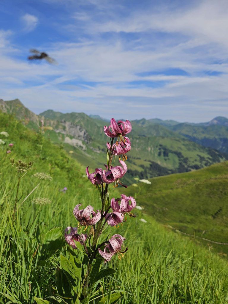 Reizvolle, kurze Gratwanderung