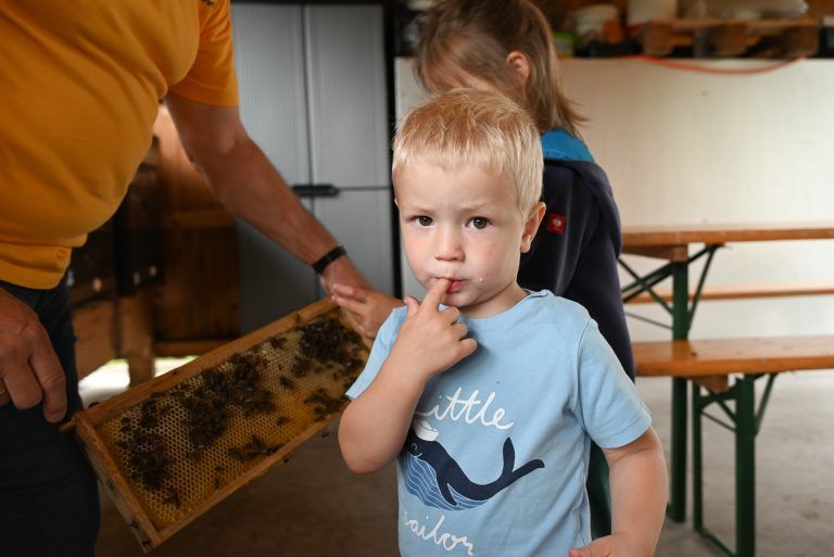 Tag des offenen Bienenstocks: Wer sich traute, durfte gleich ein bisschen Honig aus der Wabe probieren.