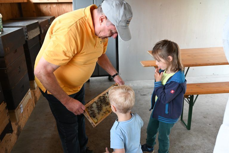 Tag des offenen Bienenstocks: Wer sich traute, durfte gleich ein bisschen Honig aus der Wabe probieren.