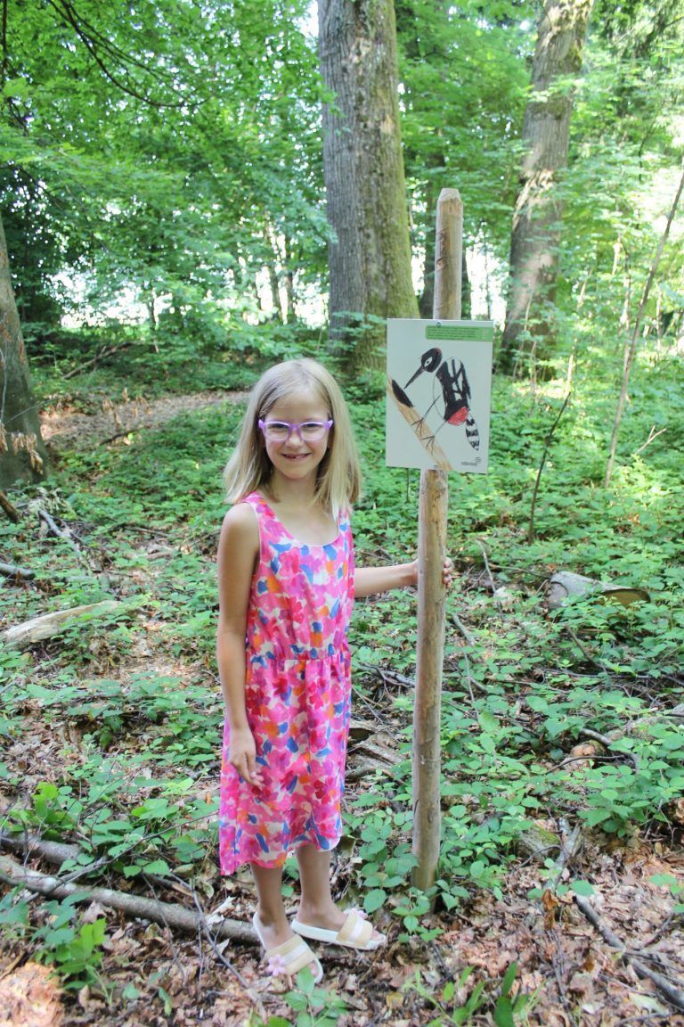 Naturschutz macht Schule: Der Specht im Fokus: Das erste Schild wurde von Greta gezeichnet.