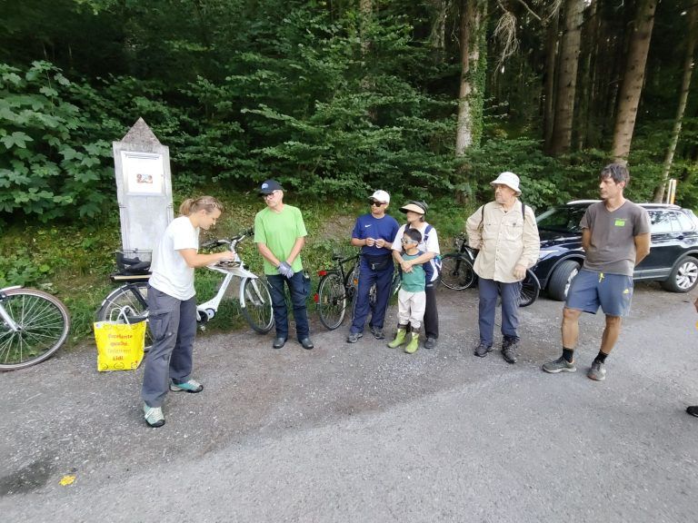 Gemeinsam für Naturvielfalt angepackt: Sei schlau, schau genau: Einführung zur Bestimmung der Neophyten im Ried.
