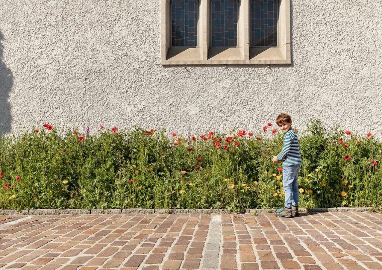 Kleine und große Blühflächen erfreuen nicht nur die kleinen Bestäuber sondern auch das menschliche Auge – wie hier vor der Kirche St. Peter und Paul. - Bienenoffensive Lustenau - Lustenau stellt Blühflächen für die Bienen zur Verfügung.