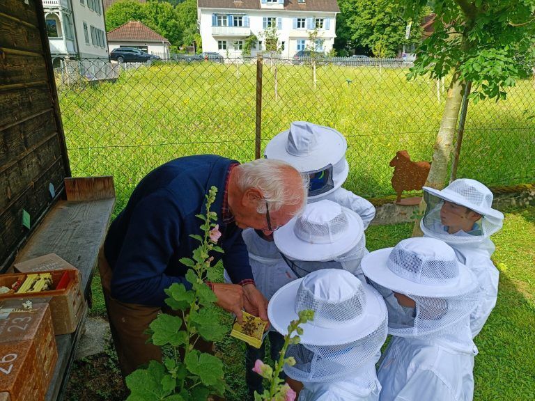 Seit 20 Jahren Gaudi für die Kinder: Bienen hautnah erleben: Im Workshop mit Hubert Metzler summte es nicht nur im Schaubienenkasten.
