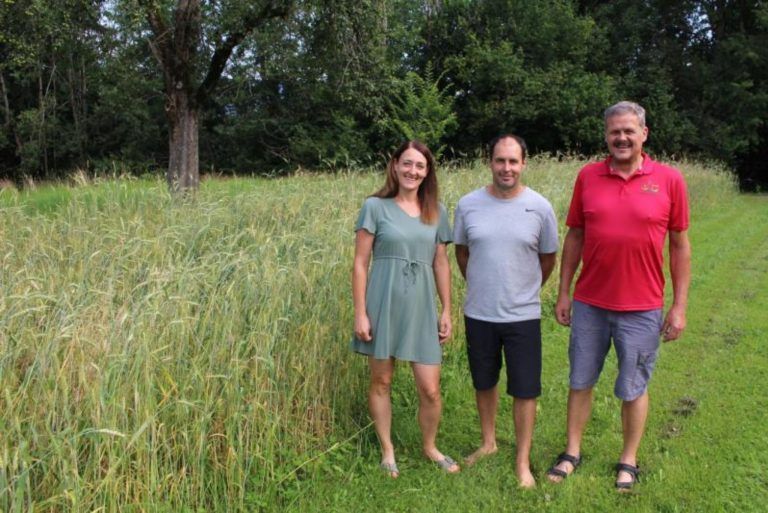 Käsklatsch starten in seine 27. Saison: Vereinsobmann Peter Klaus Gmeiner (im Bild mit Bianca und Simon Mennel vor deren Weizenfeld in Riefensberg) wird darüber berichten, was sich in Sachen Getreideanbau für den Eigenbedarf seit der Präsentation im Vorjahr getan hat.