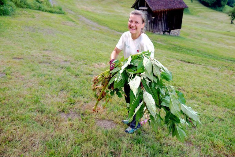 Gemeinsam für Naturvielfalt angepackt: Gebietsbetreuerin Romana Steinparzer packte fleißig mit an.