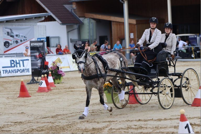Reitsportwochenende überzeugt mit Qualität und Vielfalt: Foto: VN-TK. Sophia Schmid siegte im Fahrturnier.