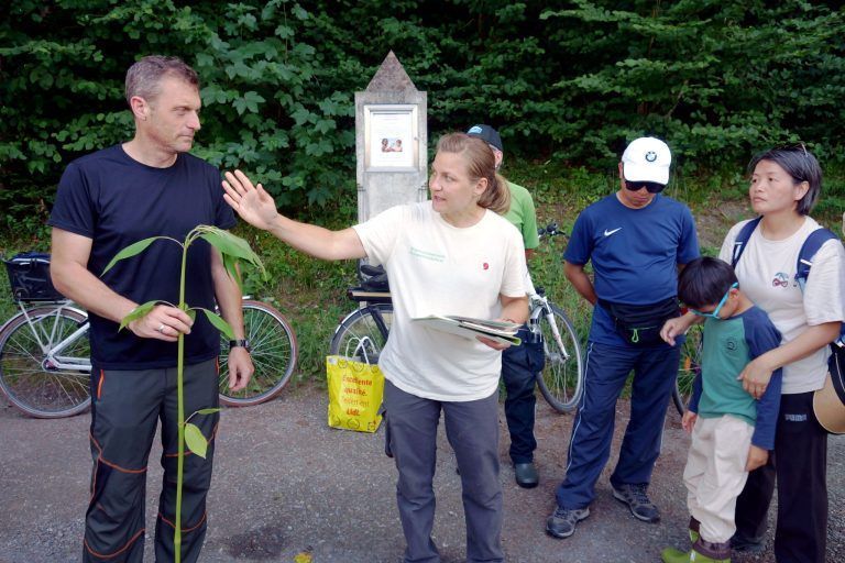 Gemeinsam für Naturvielfalt angepackt: Pflanzenkunde im Ried: Die invasiven Arten wurden genau bestimmt und herausgenommne