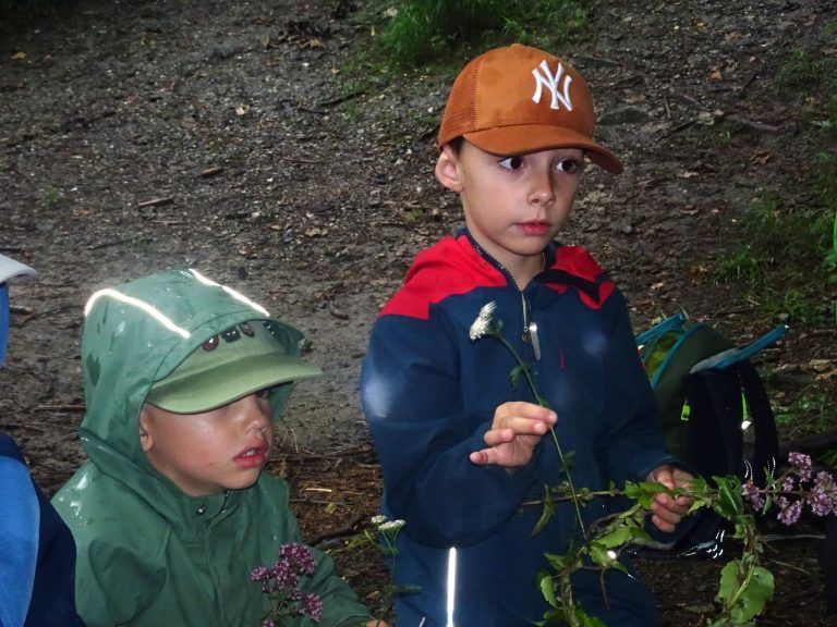 Abenteuer mit dem Waldräuber : Auch über die Schafgarbe erfuhren die Kinder interessante Geschichten.