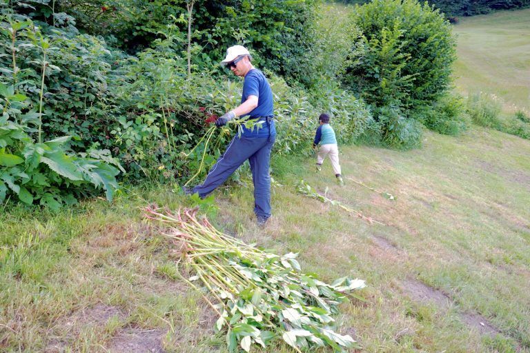 Gemeinsam für Naturvielfalt angepackt: Erfolgreiches Miteinander: Die Vielfaltertage zeigen, wie Naturschutz und Ehrenamt Hand in Hand gehen.