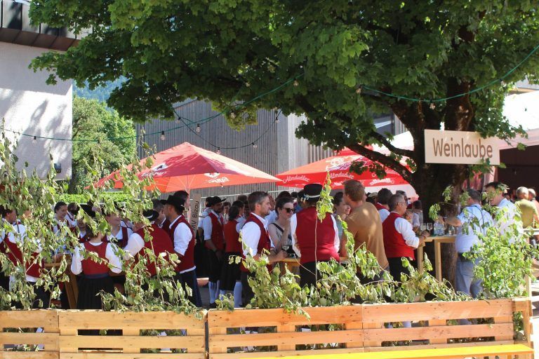 Mellouar Musig lud zum Fescht: Weinlaube im Schatten eines riesigen Baumes auf dem Dorfplatz vor dem Festzelt – ein ganz spezielles Ambiente.  