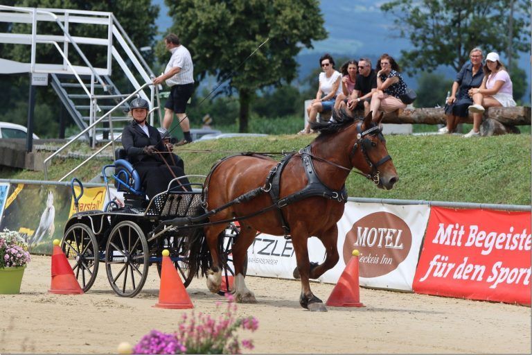 Reitsportwochenende überzeugt mit Qualität und Vielfalt: Foto: VN-TK: Katherinne Stelzer war auch mit dabei.