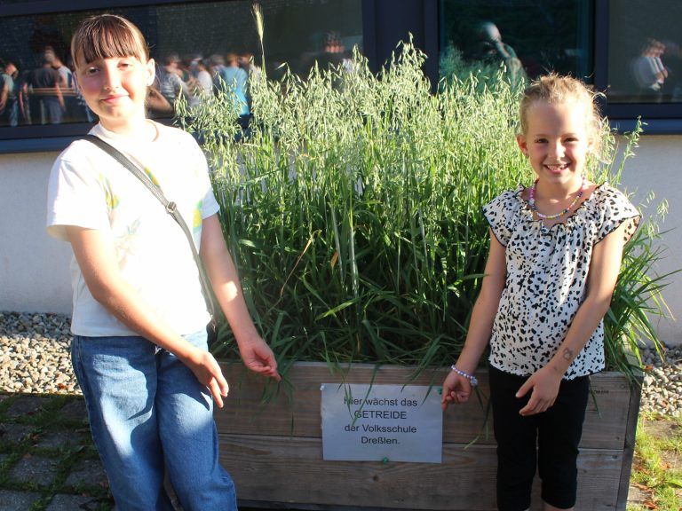 Käsklatsch-Auftakt wie im Bilderbuch: Stolz präsentieren Seraphina und Luisa von der Volksschule Dreßlen was aus dem Getreide, das sie im Frühjahr unter Anleitung von Klaus Peter Gmeiner in der Kiste gesät haben, bis zum Schulschluss geworden ist.