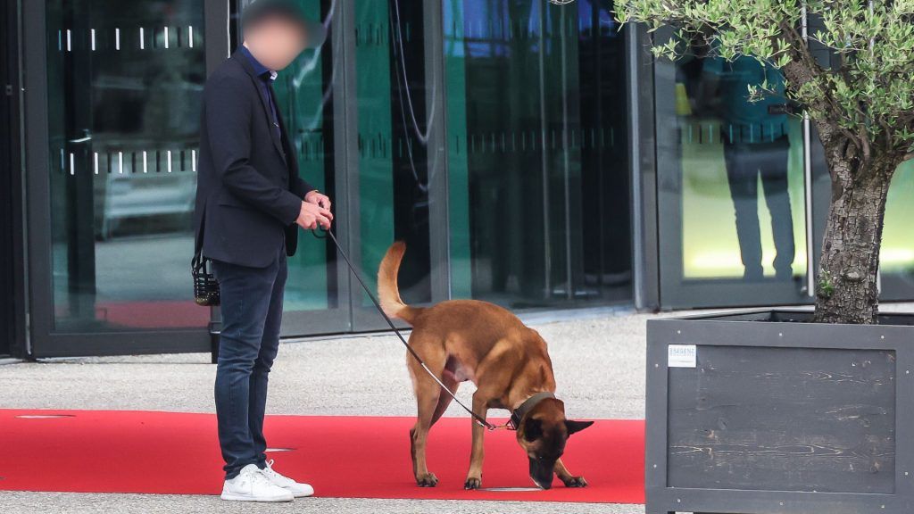"Den Blumenstrauß habe ich von Frau Wallner bekommen"